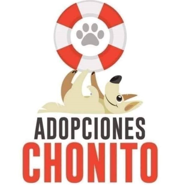 Adopciones chonito